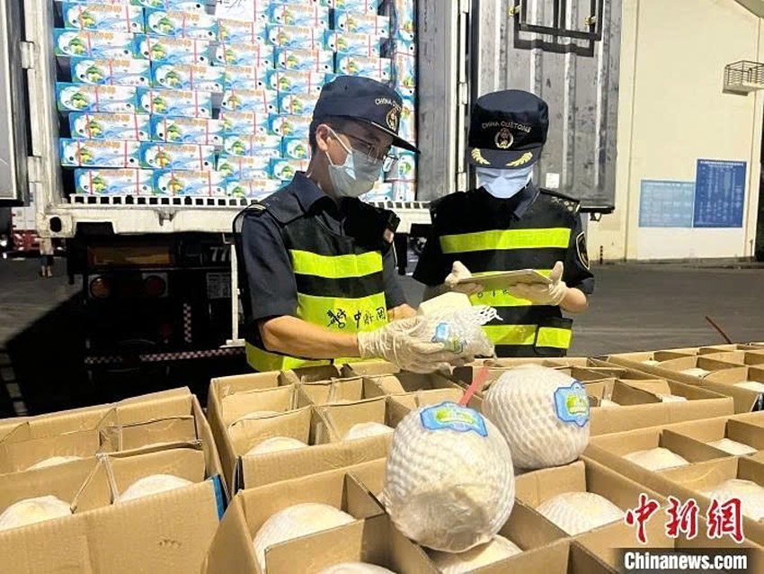 First batches of Vietnam’s fresh coconuts arrive in China